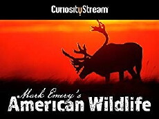 Mark Emery's American Wildlife (2016) - Stream Online