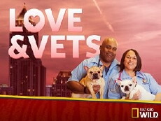 Love and Vets (2017) - Stream Online
