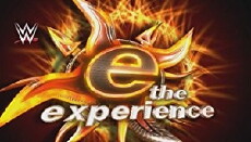 WWE Experience (2004) - Stream Online