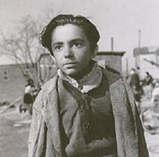 My Friend the Gypsy (1955) - Stream Online
