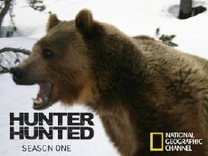 Hunter & Hunted (2005) - Stream Online