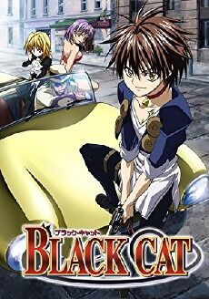 Black Cat (2005) - Stream Online