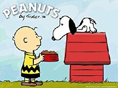 Peanuts Motion Comics (2008) - Stream Online