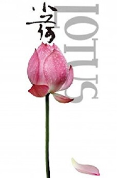 Lotus (2012) - Stream Online