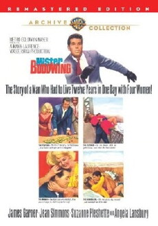 Mister Buddwing (1966) - Stream Online