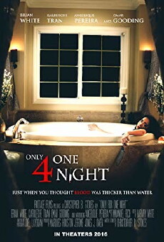 Only for One Night (2016) - Stream Online