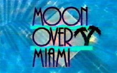 Moon Over Miami (1993) - Stream Online