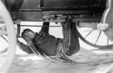 Daredevil's Reward (1928) - Stream Online