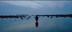 A Living Being (2017) - Stream Online