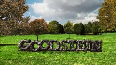 Goodstein: The Web Series (2015) - Stream Online