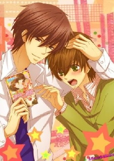Gekijouban Sekaiichi hatsukoi: Yokozawa Takafumi no baai (2014) - Stream Online