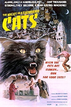 The Night of a Thousand Cats (1972) - Stream Online