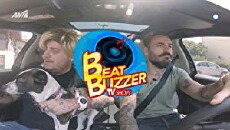 Beat Buzzer (2018) - Stream Online