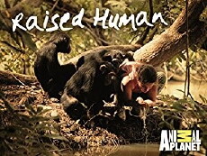 Raised Human (2014) - Stream Online
