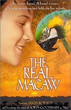 MacCool und der Piratenschatz (1998) - Stream Online