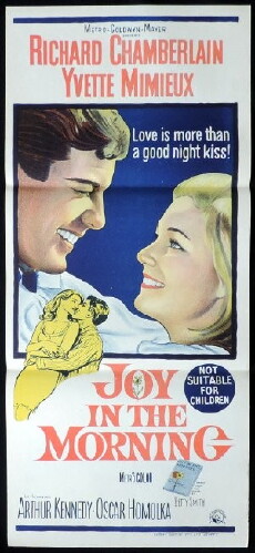 Joy in the Morning (1965) - Stream Online