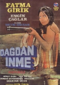Dagdan inme (1973) - Stream Online