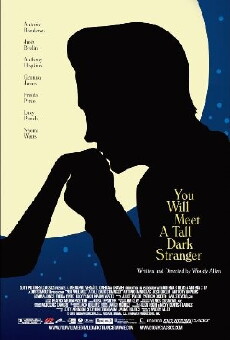 You Will Meet a Tall Dark Stranger (2010) - Stream Online