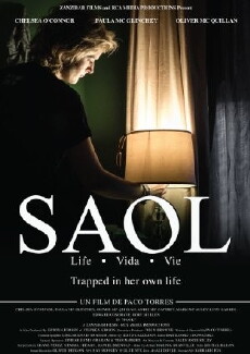 Saol (2015) - Stream Online