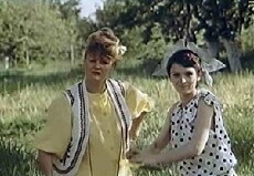 Ulybki Nechiporovki (1982) - Stream Online