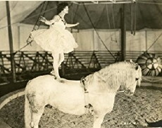 Shirley of the Circus (1922) - Stream Online