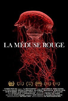 La méduse rouge (2013) - Stream Online