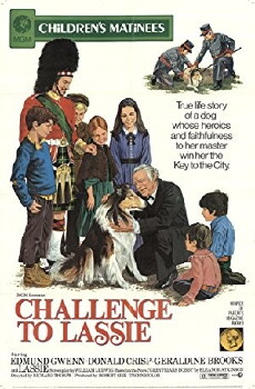 Challenge to Lassie (1949) - Stream Online