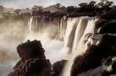 Natural World (1983) - Stream Online
