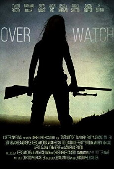 Overwatch (2016) - Stream Online