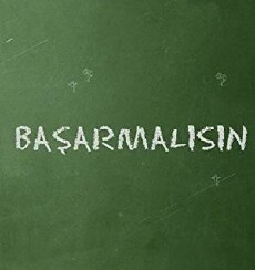 Basarmalisin (2013) - Stream Online