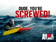 Dude, You're Screwed (2013) - Stream Online