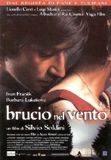 Burning in the Wind (2002) - Stream Online