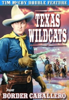 Texas Wildcats (1939) - Stream Online