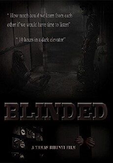 Blinded (2014) - Stream Online