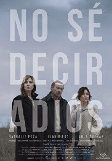 Can't Say Goodbye (2017) - Stream Online