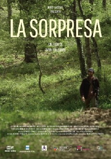 La sorpresa (2015) - Stream Online