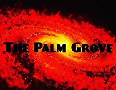 The Palm Grove (2018) - Stream Online