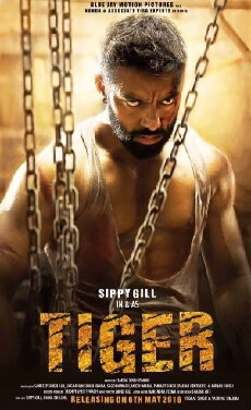 Tiger (2016) - Stream Online