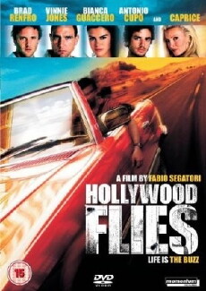 Hollywood Flies (2005) - Stream Online