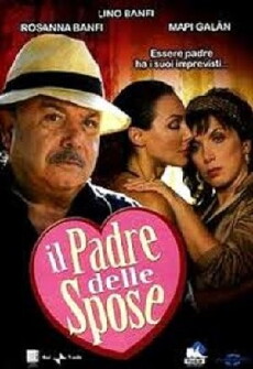 Il padre delle spose (2006) - Stream Online