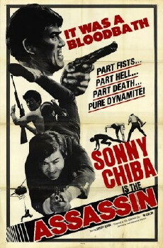 The Assassin (1970) - Stream Online
