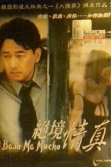 Kiss Me Much (2001) - Stream Online