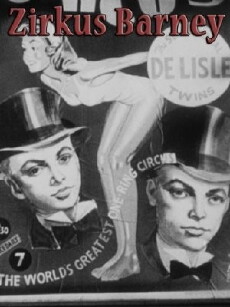 Dual Alibi (1947) - Stream Online