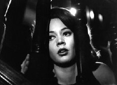 Demon in the Blood (1964) - Stream Online