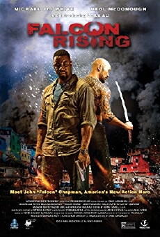 Falcon Rising (2014) - Stream Online