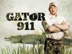 Gator 911 (2010) - Stream Online