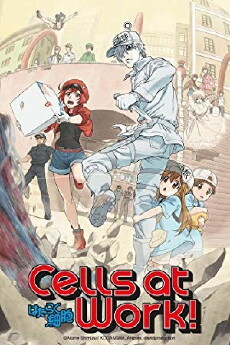 Cells at Work! (2018) - Stream Online