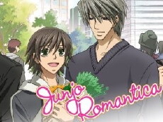 Junjou Romantica (2008) - Stream Online