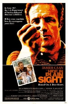 Hide in Plain Sight (1980) - Stream Online