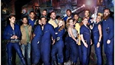 Let's Fall Out (2017) - Stream Online
